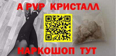 стаф Кунгур