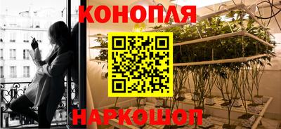 стаф Кунгур